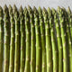 Close-up of Walker Deluxe asparagus spears showing tight green heads with purplish tips on a white textured background