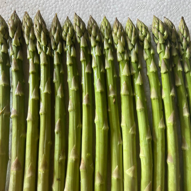 Close-up of Walker Deluxe asparagus spears showing tight green heads with purplish tips on a white textured background
