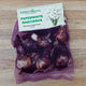 Bag of Territorial Seed Company Paperwhite Narcissus bulbs on a wooden surface