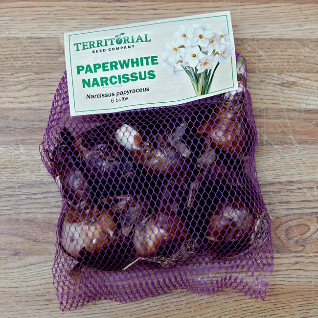 Bag of Territorial Seed Company Paperwhite Narcissus bulbs on a wooden surface
