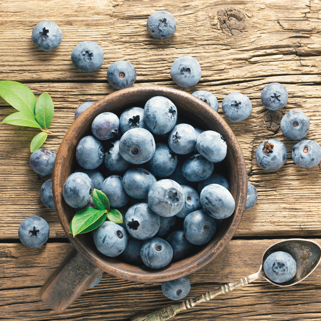 Overhead view of Duke blueberry fruit in a rustic cup showing large light-blue ripe berries on a wooden table