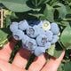 EMERALD-BLUEBERRY