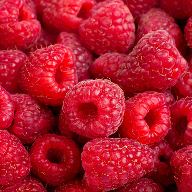 Close-up of Bababerry raspberries showcasing ripe red berries filling the frame