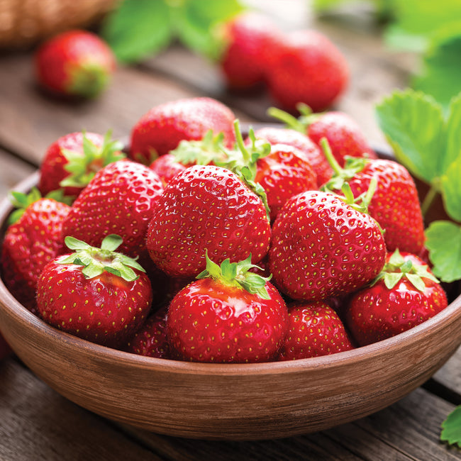 HONEOYE-STRAWBERRY