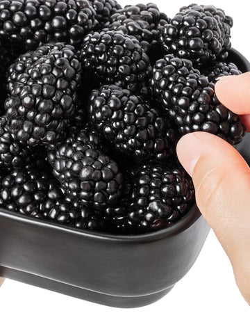 BIG DADDY-BLACKBERRY