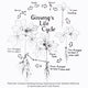 AMERICAN GINSENG ROOTLETS-GINSENG