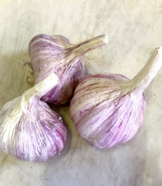 Three krandasger Red garlic bulbs on a light marble surface