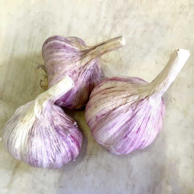Krandasger Red Garlic