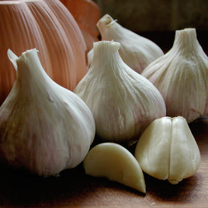 Several polish jenn garlic bulbs and loose garlic cloves on a wooden surface, with a softly blurred orange-brown background.