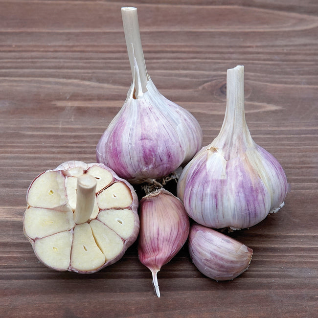 BAVARIAN PURPLE-GARLIC