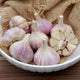 PERSIAN STAR-GARLIC