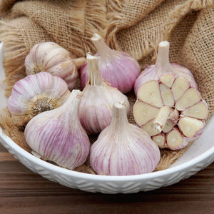 Front view of Persian Star garlic bulbs showcasing lilac-streaked clove skins with white wrappers on a rustic background