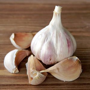 Close-up of Ivan garlic bulb showcasing large separated cloves on a wooden surface