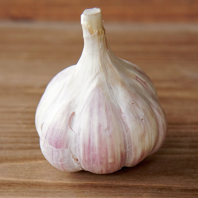 IVAN GARLIC