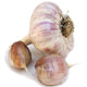 Close-up of Spanish Roja garlic bulb and two cloves showing purple-streaked papery skin on white background