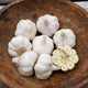 VIETNAMESE RED-GARLIC