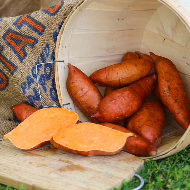 A basket filled with elongated, reddish-skinned Beauregard sweet potatoes on a wooden surface with a piece cut out to reveal the orange flesh of the Beauregard. The basket is placed next to a burlap bag.