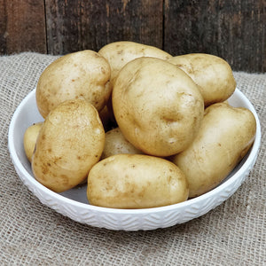 Close-up of Kennebec potatoes showing oval tan tubers with thin, smooth skin in a white bowl