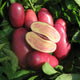 French Fingerling red potatoes with one sliced open on a bed of green leaves