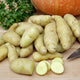 Banana potatoes on a wooden cutting board with a knife, pumpkin, and parsley in the background.