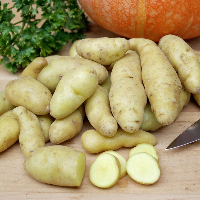 Banana potatoes on a wooden cutting board with a knife, pumpkin, and parsley in the background.