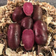 Reddish purple raspberry potatoes on a bed of straw