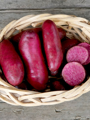Overhead view of Raspberry seed potatoes in a woven basket showing deep red skin and a sliced tuber with bright red flesh on wooden boards