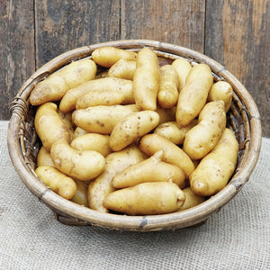 Top-down view of Austrian Crescent fingerling potatoes in a bowl showing pale yellow skin and crescent shape on a light background