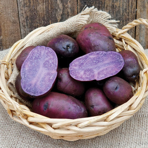 Front view of Adirondack Blue potatoes showcasing whole and halved tubers with vibrant purple flesh and skin in a wicker basket