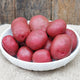 Top-front view of Sangre potatoes showcasing smooth deep red skins in a white bowl on burlap
