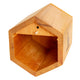 Front view of Villa Bee House showcasing hexagonal opening and cedar construction on white background