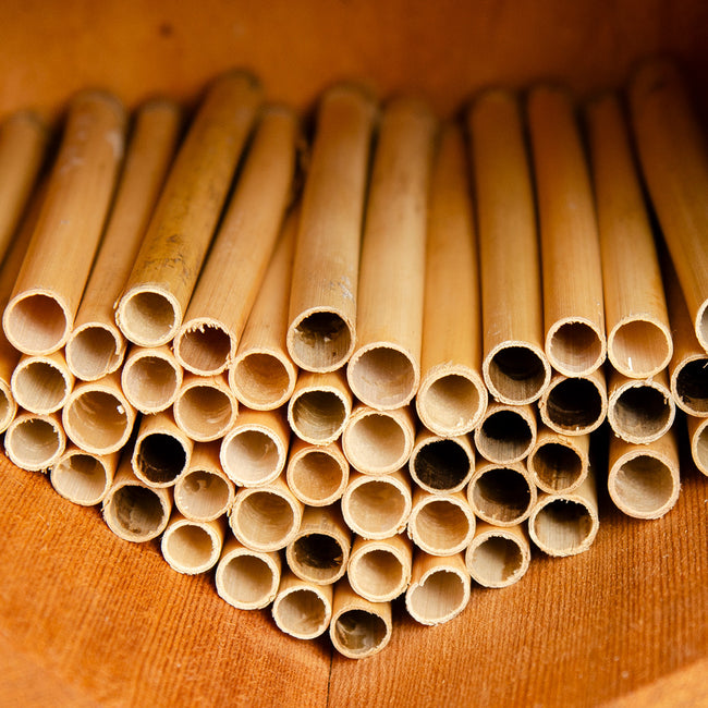 Close-up of spring natural reeds showing bundled hollow 6-inch tubes for bee houses on a wooden background