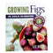 Book cover of 'Growing Figs in Cold Climates' by Lee Reich with figs and a bowl on a white background.
