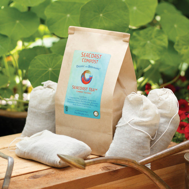 Front view of Seacoast Tea compost tea bag packet with two tea bags on a wooden bench and potted plants in background