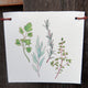 Front view of produce flag showing watercolor herb illustrations on white UV protected canvas with hemp cord and wood background