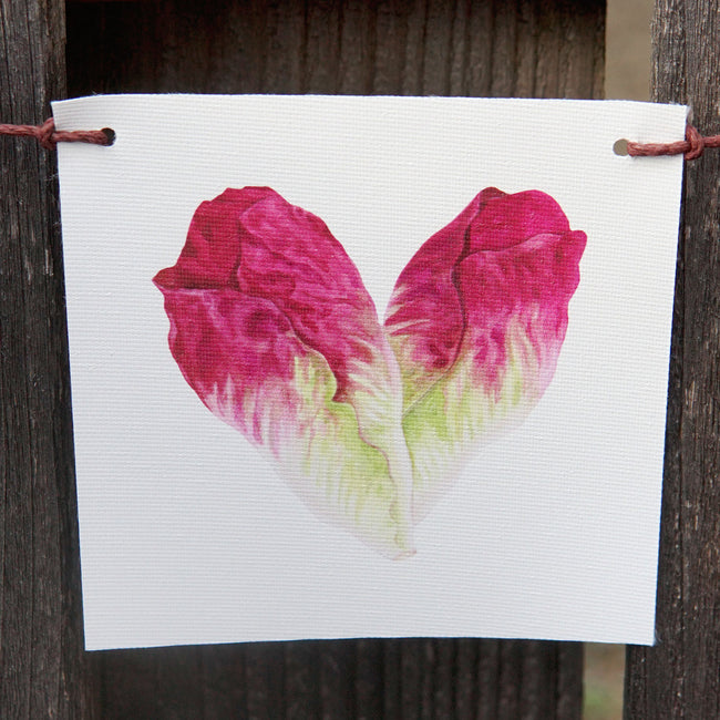 Front view of produce flag showcasing a watercolor lettuce heart on white UV-protected canvas, hand-strung with hemp cord on a wooden fence