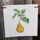 Front view of Produce Flags canvas flag showcasing a watercolor pear painting on white canvas with hemp hanging cord