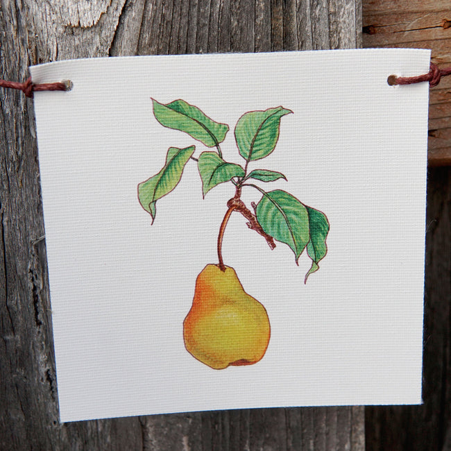 Front view of Produce Flags canvas flag showcasing a watercolor pear painting on white canvas with hemp hanging cord