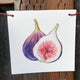 Front view of produce flag showcasing a watercolor fig painting on white canvas with hemp hanging cord