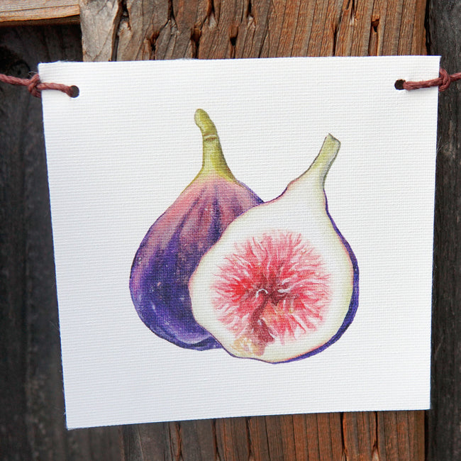 Front view of produce flag showcasing a watercolor fig painting on white canvas with hemp hanging cord