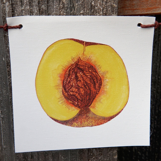 Front view of produce flag showcasing a watercolor peach painting on UV-protected canvas with white background