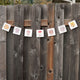 String of decorative mushroom flags with illustrations attached to a wooden fence