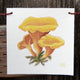 Front view of mushroom flag showing watercolor yellow mushrooms and Plant Posse branding on white background