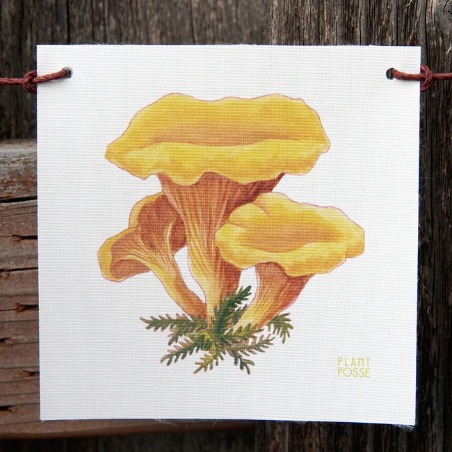 Front view of mushroom flag showing watercolor yellow mushrooms and Plant Posse branding on white background