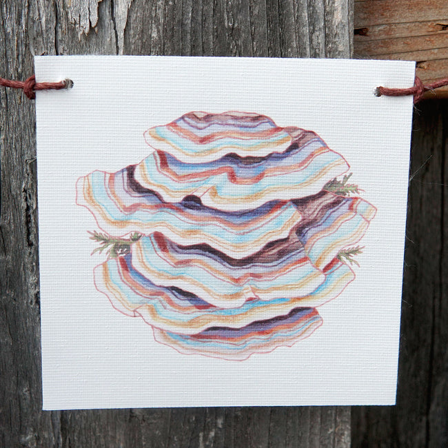 Colorful mushroom flag illustration on a wooden background
