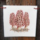 Illustration of morel mushrooms on a white flag, hanging against a wooden surface.