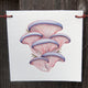 Front view of mushroom flag showcasing three pink watercolor oyster mushrooms on white canvas hanging against a wooden background