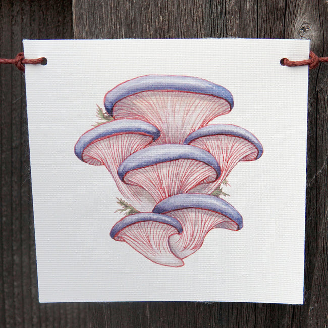 Front view of mushroom flag showcasing three pink watercolor oyster mushrooms on white canvas hanging against a wooden background
