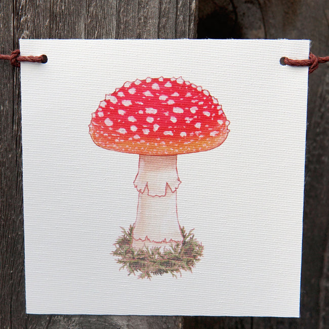 Front view of mushroom flag showcasing a red-spotted watercolor mushroom on white canvas hung with clips against a wooden background