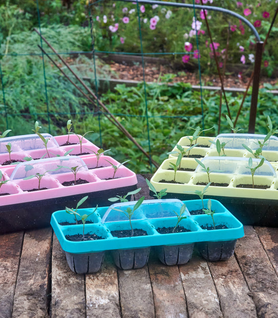 Vizible plant tray kit showing three pastel 6-cell seedling trays with clear domes and seedlings on a wooden table in a garden